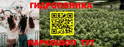 бошки Будённовск