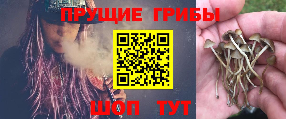 Псилоцибиновые грибы MAGIC MUSHROOMS  Псилоцибиновые грибы мицелий  Старая Купавна  Вход с VPN 