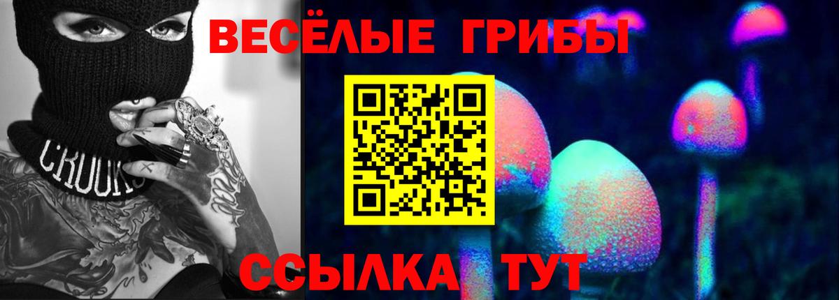 Псилоцибиновые грибы мухоморы Старая Купавна